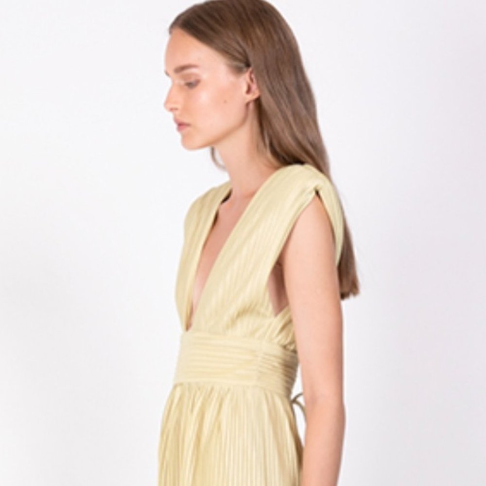 SABINA MUSΓYEV NWT Palomit pleated midi dress size M
